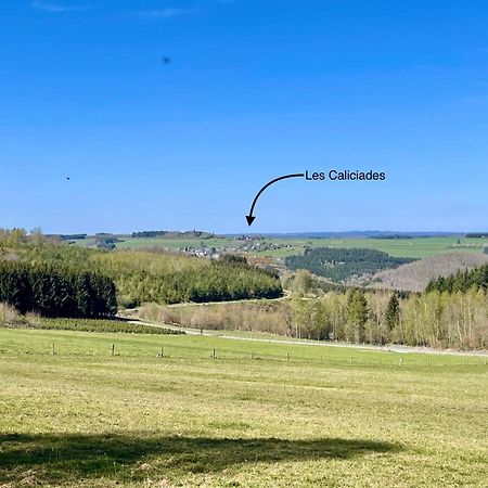 Ferienwohnung Les Caliciades 3 A Gros-Fays Bièvre Exterior foto