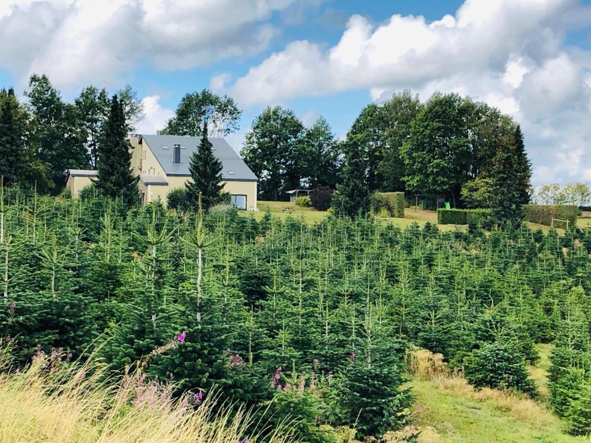 Ferienwohnung Les Caliciades 3 A Gros-Fays Bièvre Exterior foto