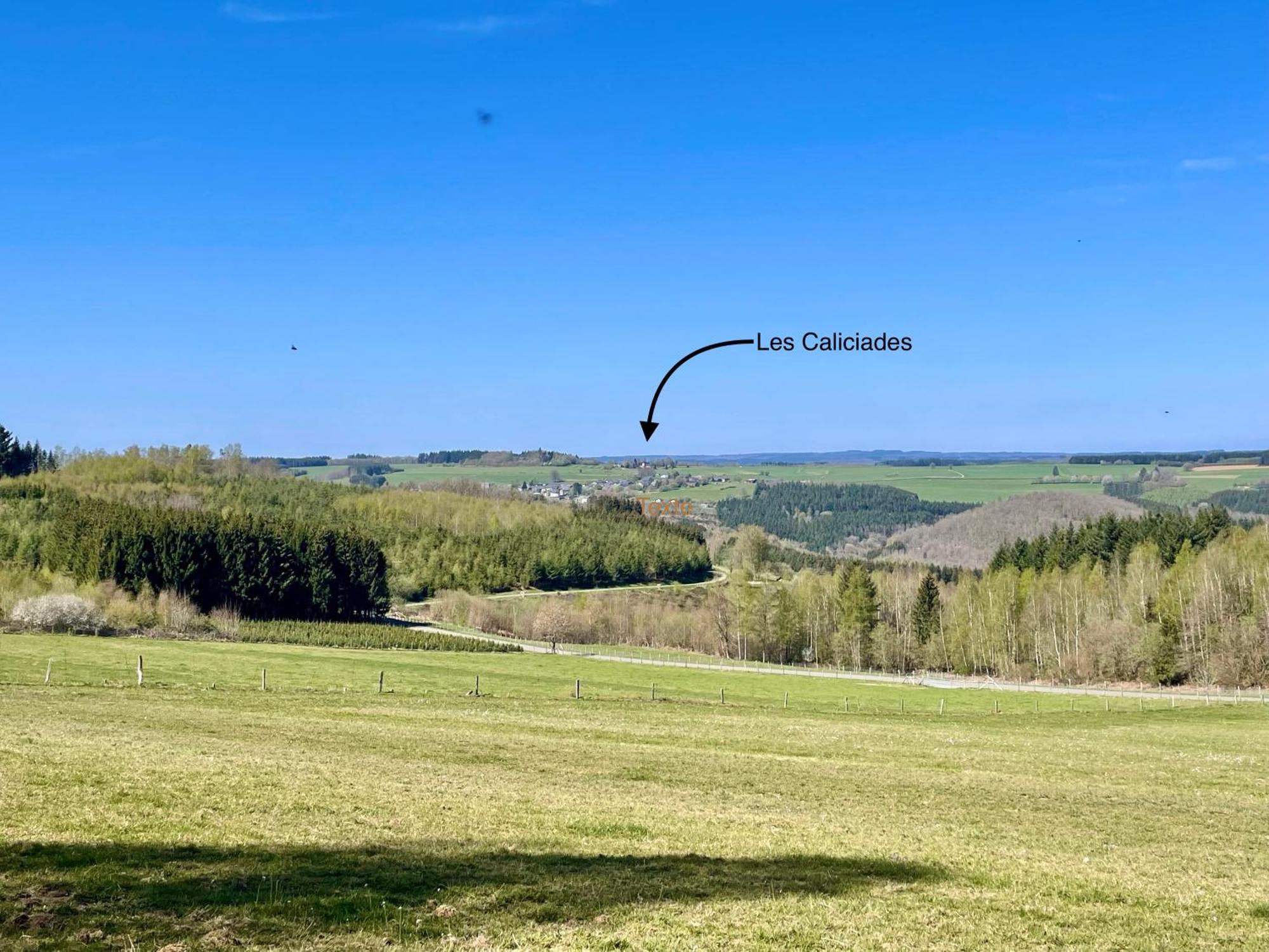 Ferienwohnung Les Caliciades 3 A Gros-Fays Bièvre Exterior foto